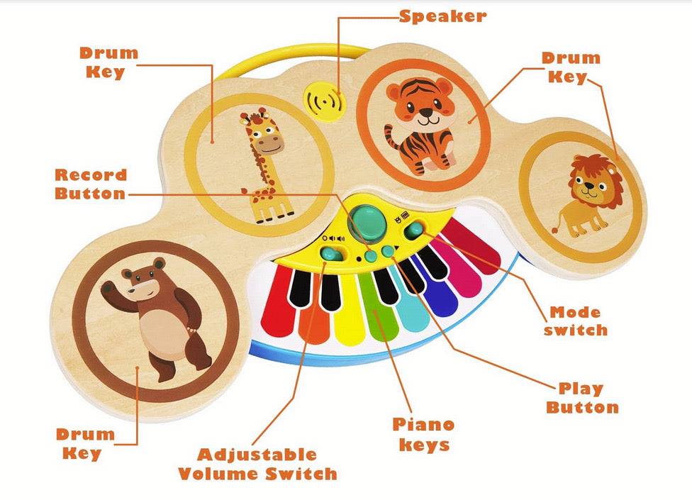 Jucarie interactiva muzicala pentru bebelusi Alainn