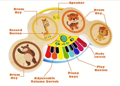 Jucarie interactiva muzicala pentru bebelusi Alainn